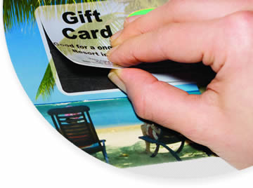 [Imagine the Possibilities...]