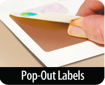 [Pop-Out Labels]